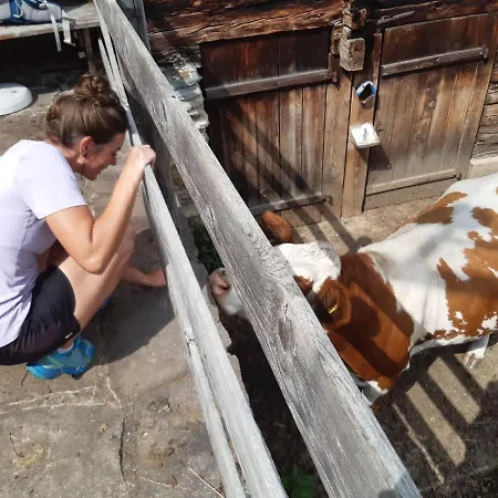 Bergerhof * Kals-am Großglockner